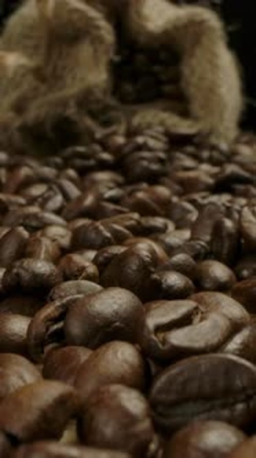 Vertical of Low Point Macro View of Coffee Beans and Jute Sack