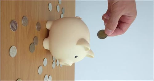 Vertical Video Large Pink Ceramic Pig Piggy Bank Into Which Coin is Dropped Piggy Bank is Symbol of