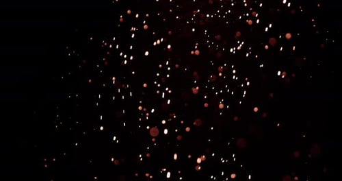 Beautiful Shimmering Particles Floating on Black Background