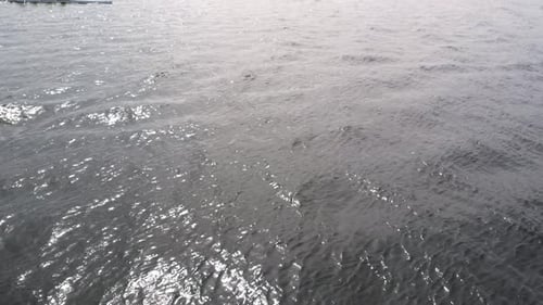 SUP Couple Gasworks Park Paddleboarding. Aerial shot of men boating in the gasworks park.