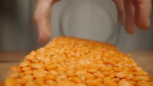 Orange Lentils Poured from Clear Bowl