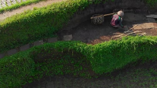 Aerial view of rice fields and farmers working, Indonesia.