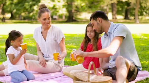 Family Enjoying Picnic in Park on Sunny Day