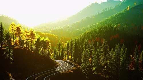 Uma estrada florestal serena ao pôr do sol