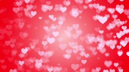 Red Valentines Day Heart Background Loop