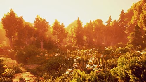 Cartoon Wooded Forest Trees Backlit By Golden Sunlight