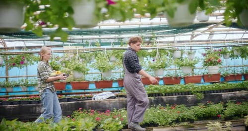 Botanical Greenhouse: Couple Caring for Plants