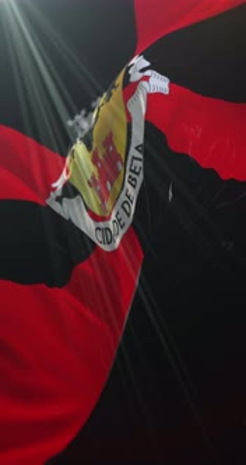 Drapeau de Beja