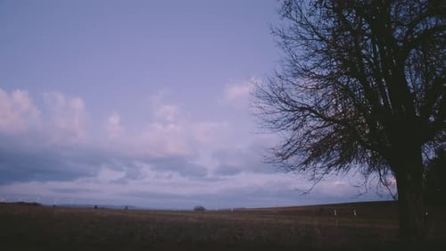 Rural Landscape With Silhouette Tree at Twilight