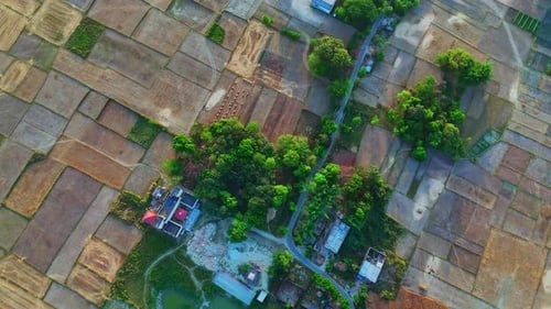 small village middle of farmland drone shot