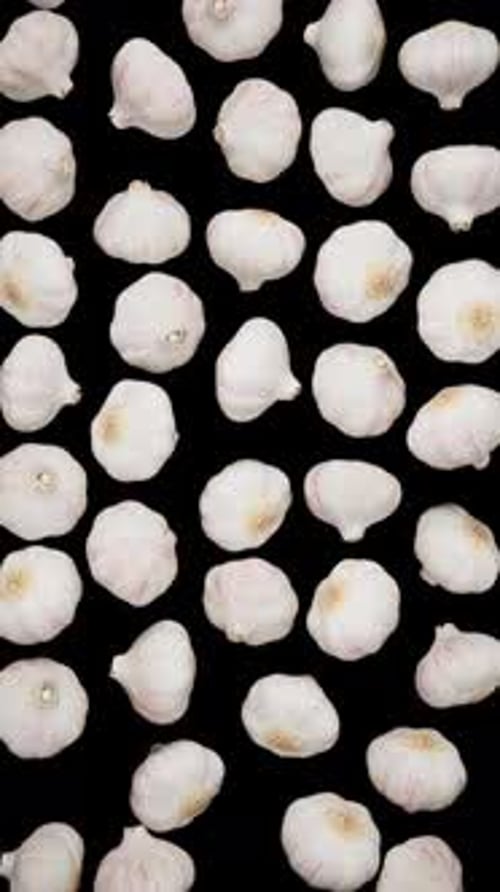 Vertical Falling Garlic on Alpha