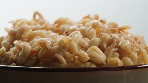 Soja salada fermentada en tarro Producción de soja china Alimentos marinados Soja germinada de cerca en