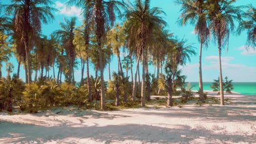 Tropical Beach with Swaying Palm Trees in Gentle Breeze