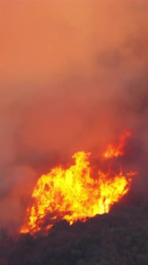 Fire Emergency in Malibu and Pacific Palisades Poses Serious Local Risks