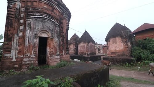 Animaux traversant les anciens temples du Seigneur Shiva dans le village de Maluti à Dumka, dans le Jharkhand, en Inde