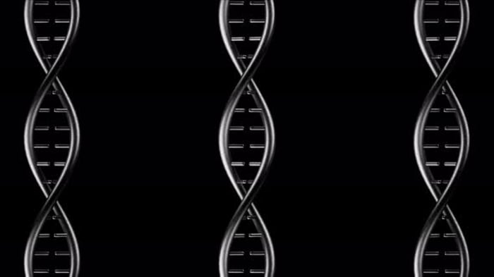 Endless Silver Metal DNA Background Loop, Backgrounds Motion Graphics ...