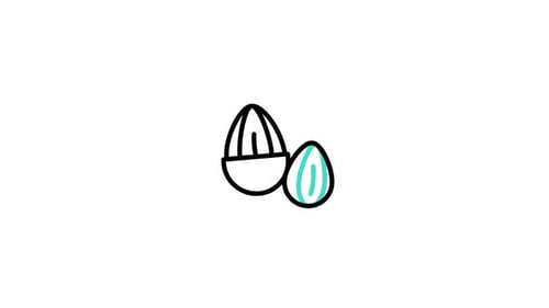 Almonds Animated Icon