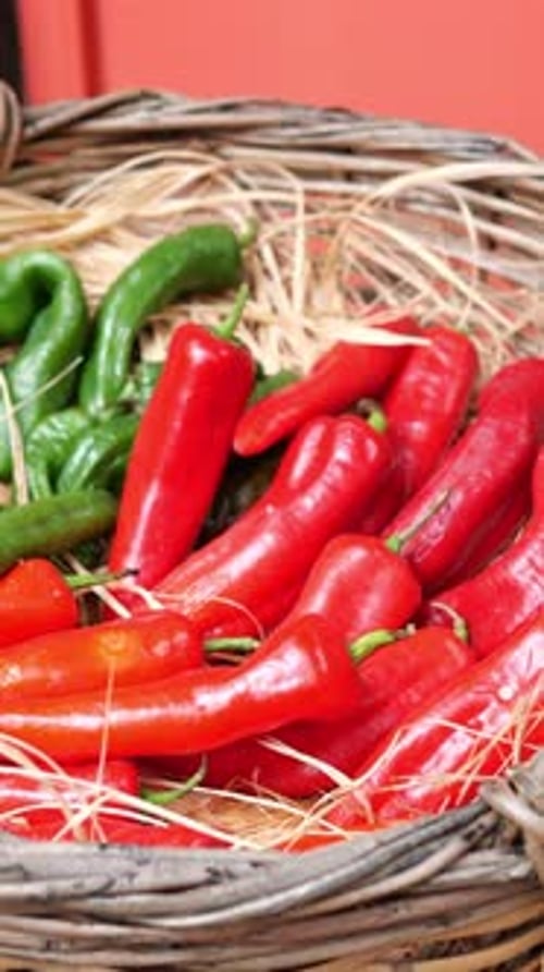 Frische Paprika, die vom lokalen Markt in leuchtenden Farben geerntet wurde