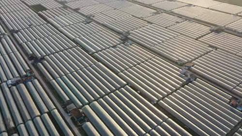 Greenhouses Stretching Across the Rural Landscape from Above
