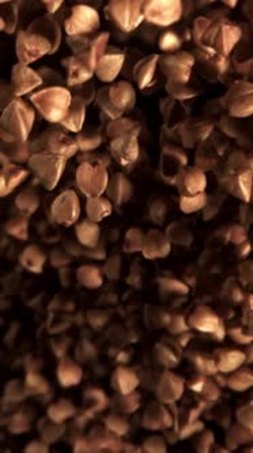Buckwheat Flies Up and Falls Down Filmed on a Highspeed Camera at 1000 Fps