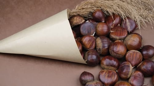 Still Life of Chestnuts in a Paper Cone