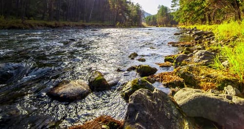 UHD Mountain River Timelapse at the Summer or Autumn Time Wild Nature Clear Water and Rural