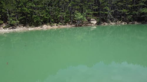 Aerial Lake in Forest