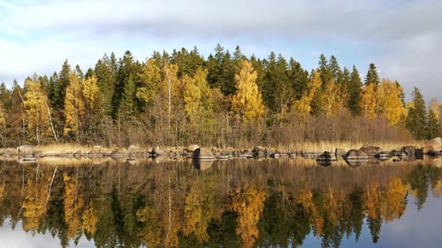 Autumnal nordic forest on water with reflection, shot from boat