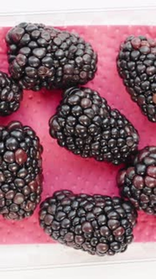 Fresh Blackberries in Container, Close Up