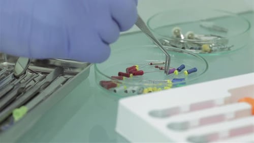 Dental Instruments Prepared For Healthcare Procedure