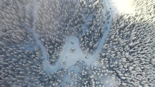 Aerial Top Down Shot of a winter landscape road between snow covered pine trees flying trough clouds