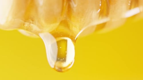 Honey Dripping from Honeycomb in Close Up Slow Motion