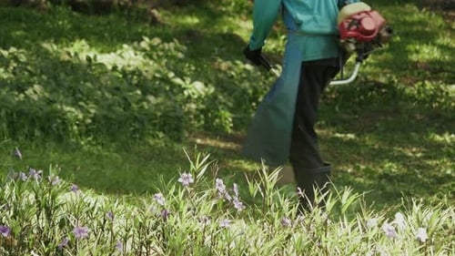 Ouvrier paysagiste coupant l'herbe avec une débroussailleuse au milieu de fleurs éclatantes dans un jardin
