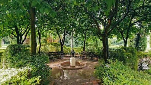 Park is a Place to Rest in the Park After the Rain Benches Without People in a Cozy Place Puddles