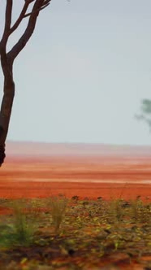 A Solitary Tree Against a Vibrant Red Backdrop