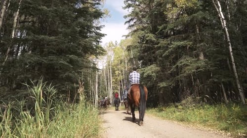 Family Horseback Riding on Trail in Sunny Woods Active