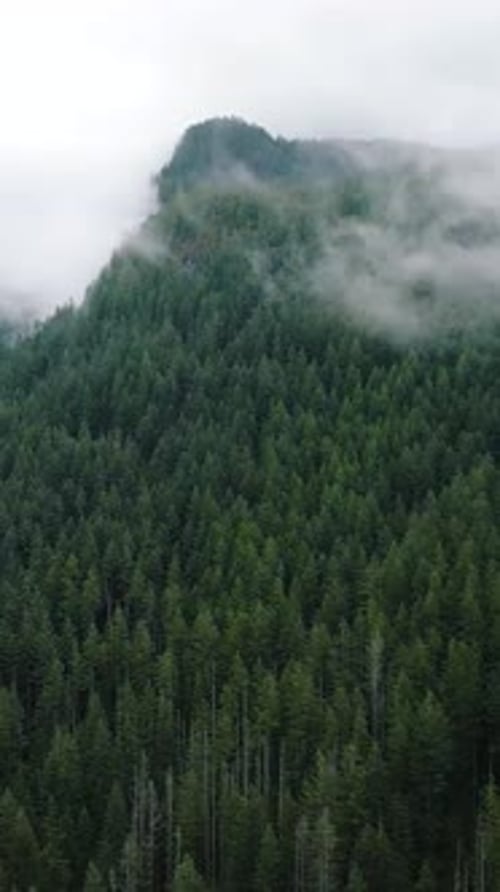 Aerial View of Beautiful Mountain Landscape Fog Rises Over the Mountain Slopes