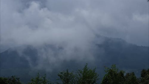 Aerial view of sea of fog on tropical mountains in the early morning.
