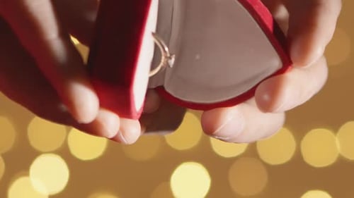 Vertical Video This Engagement Ring is the Key to Their Future Happiness and Unforgettable Love