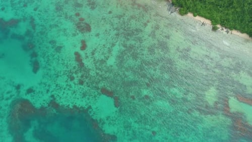 Aerial View of a Tropical Island with Palm Trees and White Sand Beaches Amazing Tropical Island in