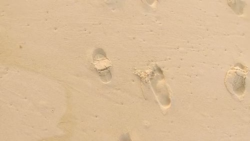 Birds eye top down view following various imprinted bare footsteps and shoe soles on a pristine beac