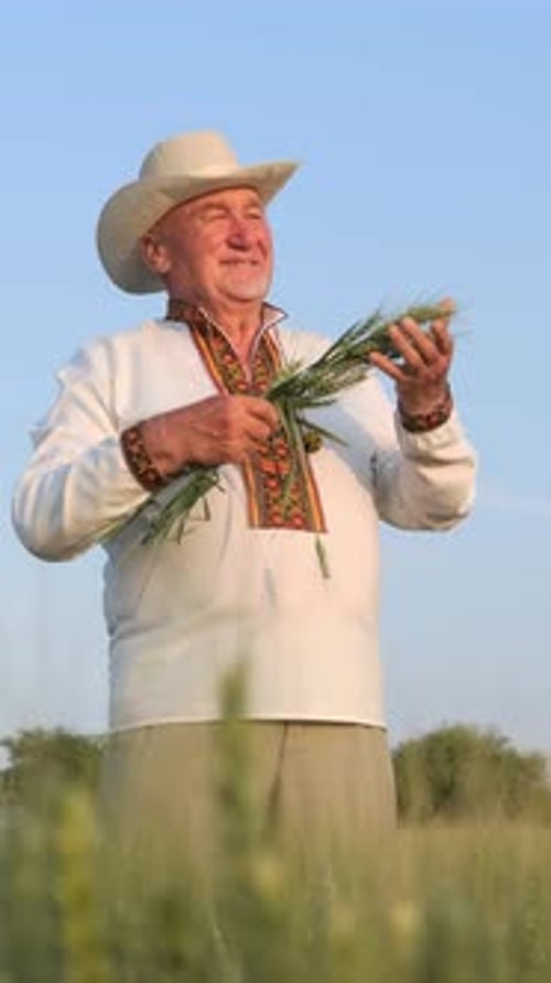 Happy Senior Man Holding Wheat in Field