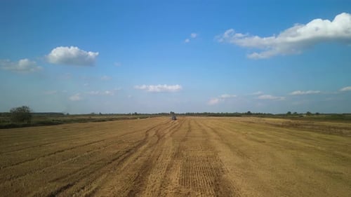Wheat field aerial view in Ukraine