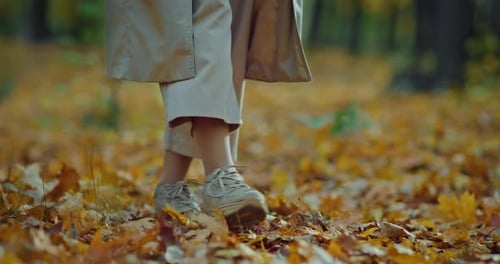 Jovem mulher andando sobre folhas de plátano caídas no parque, perto de pés e prores de folhagem amarela
