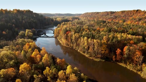 Aerial view of autumn foliage near a tranquil river with a bridge