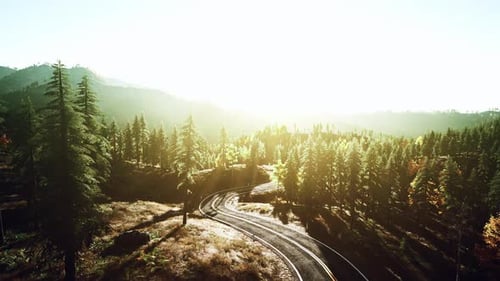 An Empty Road Winding Through a Serene Forest at Sunset