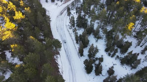 Ruta nevada