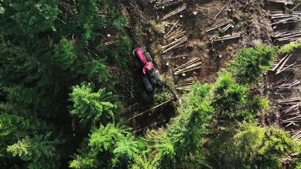 Top down view of Logging Equipment in Action at the Forest - processing ...