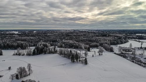 Pine Tree Forest And Cabins During Wintertime. - aerial hyperlapse