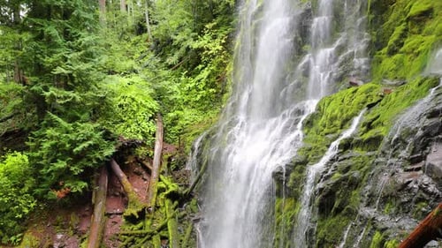 Stunning Forest Waterfall Cascading Over Lush Green Mossy Rock Face